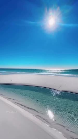 플로리다 해변 맑은 자연