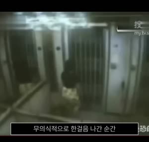 대만의 기묘한 엘리베이터 사망 사고